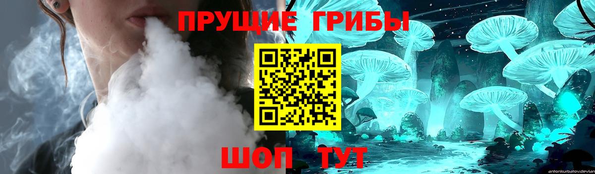 Галлюциногенные грибы Cubensis Мариинск