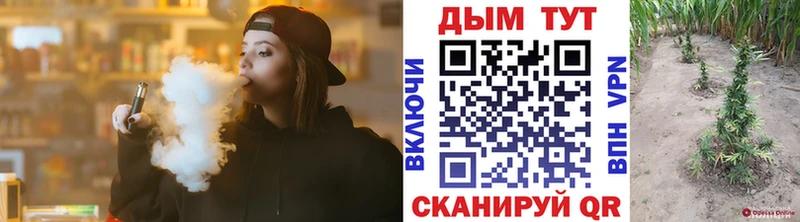 Бошки Шишки ГИДРОПОН  Мариинск 